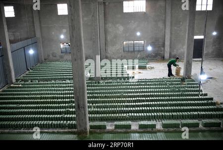 (190123) -- ALEPPO, 23 gennaio 2019 -- Un operaio siriano organizza le barrette di sapone d'oliva in una fabbrica alla periferia di Aleppo, Siria, 20 dicembre 2018. Per gli abitanti della città siriana di Aleppo, il sapone d'oliva non è solo una saponetta per lavarsi le mani o aggiungere un naturale luccichio ai capelli, ma anche uno dei loro orgogliosi e preziosi patrimoni. ANDARE CON LA CARATTERISTICA: I produttori di sapone di oliva si sono Uniti in solidarietà per rilanciare l'industria tradizionale in Siria S Aleppo ) SIRIA-ALEPPO-LIFE-OLIVE-SOAP-MAKING AmmarxSafarjalani PUBLICATIONxNOTxINxCHN Foto Stock