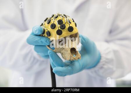 (190124) - SHANGHAI, 24 gennaio 2019 - il ricercatore Zhang Hongjun discute il progetto sperimentale con i membri del suo team in un laboratorio dell'Institute of Neuroscience of Chinese Academy of Sciences di Shanghai, Cina orientale, 22 gennaio 2019. La Cina ha clonato cinque scimmie da un macaco modificato da gene con disturbi del ritmo circadiano, la prima volta che più scimmie sono state clonate da una scimmia modificata da gene per la ricerca biomedica. Gli scienziati hanno fatto l'annuncio giovedì, con due articoli pubblicati su National Science Review, una delle principali riviste cinesi in inglese. Le scimmie clonate sono nate a Shang Foto Stock