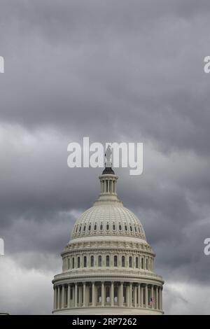 (190124) -- WASHINGTON, 24 gennaio 2019 -- Capitol Hill è visibile a Washington D.C., negli Stati Uniti, il 24 gennaio 2019. Un disegno di legge sostenuto dai democratici per aprire temporaneamente il governo degli Stati Uniti senza finanziare un muro di confine richiesto dalla Casa Bianca non è riuscito a passare il Senato degli Stati Uniti giovedì. ) U.S.-WASHINGTON D.C.-GOVERNMENT-TEMPORARY OPENING-BILL-FAILING LIUXJIE PUBLICATIONXNOTXINXCHN Foto Stock