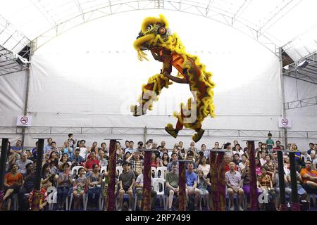 (190127) -- PECHINO, 27 gennaio 2019 -- i concorrenti si esibiscono durante il 12° Concorso Internazionale di danza del Leone a Chinatown di Singapore il 26 gennaio 2019, per salutare il Capodanno lunare cinese. ) XINHUA FOTO DEL GIORNO ThenxChihxWey PUBLICATIONxNOTxINxCHN Foto Stock