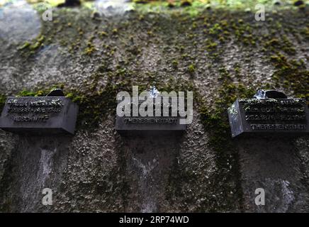(190127) -- FRANCOFORTE, 27 gennaio 2019 -- foto scattata il 27 gennaio 2019 mostra i piccoli blocchi sul muro del vecchio cimitero ebraico di Francoforte, Germania. Il muro lungo 286 metri contiene più di 11.900 piccoli blocchi di acciaio, che registrano i nomi degli ebrei di Francoforte deportati e uccisi tra il 1933 e il 1945. Nel 2005, l'Assemblea generale delle Nazioni Unite ha adottato una risoluzione che designava il gennaio 27 come giornata internazionale della commemorazione in memoria delle vittime dell'Olocausto, il giorno in cui il campo di sterminio di Auschwitz fu liberato nel 1945. GERMANIA-FRANCOFORTE-GIORNATA INTERNAZIONALE DELLA MEMORIA DELL'OLOCAUSTO LUXYA Foto Stock