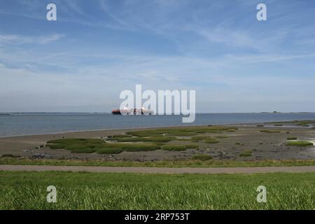 un paesaggio costiero in zelanda con una nave da carico nel mare di westerschelde e una palude salata con gobbe d'erba e fango davanti Foto Stock