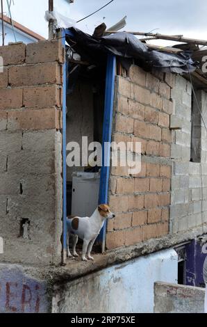 (190129) -- L'AVANA, 29 gennaio 2019 (Xinhua) -- Una casa danneggiata è stata vista nell'area colpita da tornado nel comune di Regla a l'Avana, Cuba, 28 gennaio 2019. Un potente tornado attraversò la capitale cubana domenica notte, lasciando tre persone morte e 172 feriti. (Xinhua/Joaquin Hernandez) CUBA-HAVANA-TORNADO PUBLICATIONxNOTxINxCHN Foto Stock