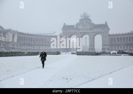 (190130) -- BRUXELLES, 30 gennaio 2019 (Xinhua) -- Un uomo cammina nel Parco del cinquantesimo anniversario a Bruxelles, Belgio, 30 gennaio 2019. Una nevicata ha colpito Bruxelles mercoledì. (Xinhua/Zhang Cheng) BELGIO-BRUXELLES-NEVICATE PUBLICATIONxNOTxINxCHN Foto Stock