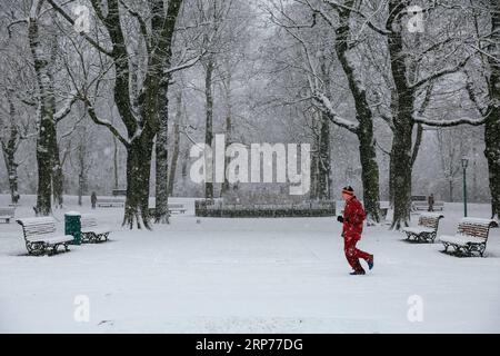 (190130) -- BRUXELLES, 30 gennaio 2019 (Xinhua) -- Un uomo corre in mezzo alla neve nel Parco del cinquantesimo anniversario a Bruxelles, Belgio, 30 gennaio 2019. Una nevicata ha colpito Bruxelles mercoledì. (Xinhua/Zhang Cheng) BELGIO-BRUXELLES-NEVICATE PUBLICATIONxNOTxINxCHN Foto Stock