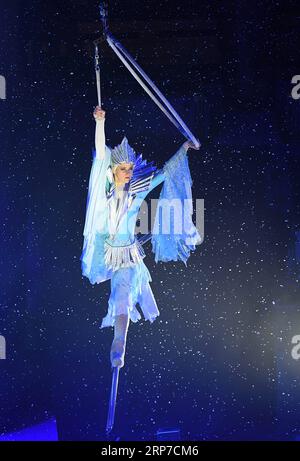 (190203) -- WIESBADEN (GERMANIA), 3 febbraio 2019 -- Un interprete del Russian Circus on Ice si esibisce durante lo spettacolo A Winter Fairy tale a Wiesbaden, Germania, il 3 febbraio 2019. ) GERMANIA-WIESBADEN-CIRCUS-SHOW LuxYang PUBLICATIONxNOTxINxCHN Foto Stock