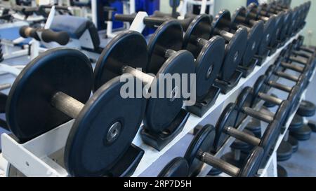 Due file di manubri con piastre per il sollevamento pesi in gomma nere in palestra Foto Stock