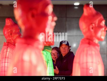 (190205) - WELLINGTON, 5 febbraio 2019 (Xinhua) -- lanterne guerriere di terracotta sono in mostra all'esterno del National Museum of New Zealand, a Wellington, nuova Zelanda il 5 febbraio 2019. Per celebrare il Capodanno lunare cinese, queste lanterne saranno accese ogni sera dalle 20:00 a mezzanotte. Prima di Wellington, queste lanterne sono state esposte in diverse località iconiche in tutto il mondo, tra cui Sydney Harbour, Zagabria, Praga, Edimburgo e Manchester. (Xinhua/Guo lei) NEW ZEALAND-WELLINGTON-TERRACOTTA WARRIORS-LANTERN PUBLICATIONxNOTxINxCHN Foto Stock