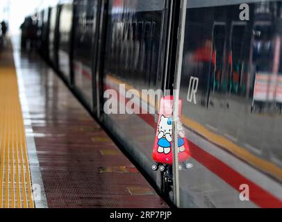 (190210) -- GUIYANG, 10 febbraio 2019 (Xinhua) -- Un tronco viene trascinato in un treno alla stazione ferroviaria di Guiyangbei a Guiyang, nella provincia di Guizhou nella Cina sud-occidentale, 10 febbraio 2019. La Cina è stata testimone di una corsa di viaggi a livello nazionale per il Festival di Primavera la domenica, quando le persone hanno iniziato a tornare ai luoghi di lavoro dalle città natali dopo le riunioni di famiglia mentre la festa del Festival di Primavera è finita (Xinhua/Liu Xu) CHINA-SPRING FESTIVAL-HOLIDAY END-TRAVEL RUSH (CN) PUBLICATIONxNOTxINxCHN Foto Stock