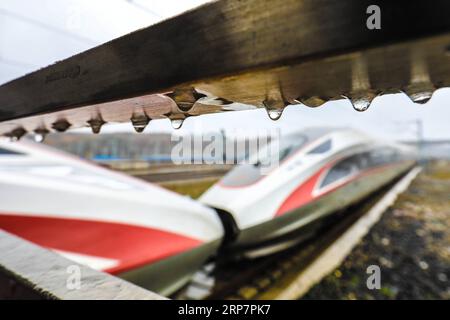 (190210) -- GUIYANG, 10 febbraio 2019 (Xinhua) -- Un treno proiettile esce dalla stazione ferroviaria di Guiyangbei a Guiyang, nella provincia di Guizhou, nella Cina sud-occidentale, 10 febbraio 2019. La Cina è stata testimone di una corsa di viaggi a livello nazionale per il Festival di Primavera la domenica, quando le persone hanno iniziato a tornare ai luoghi di lavoro dalle città natali dopo le riunioni di famiglia mentre la festa del Festival di Primavera è finita (Xinhua/Liu Xu) CHINA-SPRING FESTIVAL-HOLIDAY END-TRAVEL RUSH (CN) PUBLICATIONxNOTxINxCHN Foto Stock