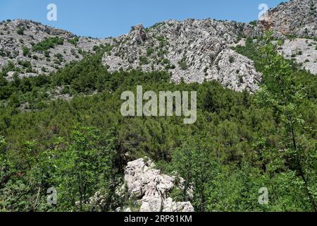 Scogliere calcaree boscose nei monti Velebit nel Parco Nazionale di Paklenica, nella Dalmazia settentrionale. Paklenica Starigrad, Dalmazia, Croazia, Sud-est Foto Stock