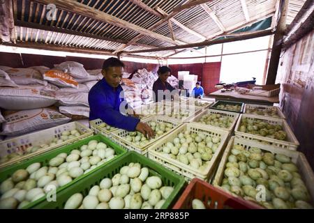 (190221) -- PECHINO, 21 febbraio 2019 (Xinhua) -- Yang Zaiheng (1st L) organizza uova d'anatra in un allevamento di anatre deposte nel villaggio di Dingdong della contea di Danzhai, prefettura autonoma di Qiandongnan Miao e Dong, provincia di Guizhou nella Cina sud-occidentale, 4 dicembre 2018. Negli ultimi sei anni, la Cina ha compiuto importanti e decisivi risultati in materia di lotta alla povertà e continuerà i suoi sforzi quest’anno per gettare le basi solide per vincere la battaglia contro la povertà entro il 2020, ha affermato un funzionario mercoledì. Negli ultimi sei anni, la Cina ha sollevato 82,39 milioni di poveri rurali dalla povertà, con la popolazione povera rurale in calo f Foto Stock