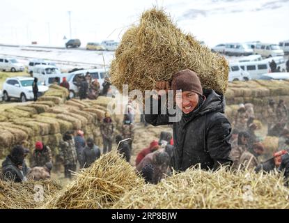 (190226) -- PECHINO, 26 febbraio 2019 -- Un allevatore trasporta foraggio confezionato nel villaggio di Rima della prefettura autonoma tibetana di Yushu, provincia del Qinghai della Cina nord-occidentale, 25 febbraio 2019. ) XINHUA FOTO DEL GIORNO TianxWenjie PUBLICATIONxNOTxINxCHN Foto Stock