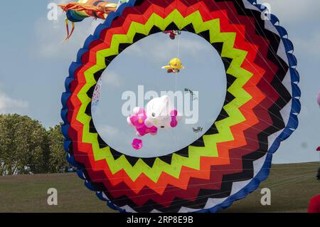 (190302) -- JOHOR BAHRU, 2 marzo 2019 -- vari aquiloni volano in cielo durante il 24° Pasir Gudang World Kite Festival a Pasir Gudang, stato di Johor, Malesia, 1 marzo 2019. Partecipanti provenienti da oltre 40 paesi e regioni hanno partecipato alle competizioni di aquiloni e allo spettacolo durante il festival di cinque giorni. ) MALESIA-PASIR GUDANG-KITE FESTIVAL ChongxVoonxChung PUBLICATIONxNOTxINxCHN Foto Stock