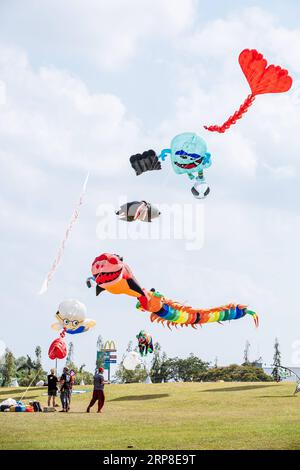 (190302) -- JOHOR BAHRU, 2 marzo 2019 -- vari aquiloni volano in cielo durante il 24° Pasir Gudang World Kite Festival a Pasir Gudang, stato di Johor, Malesia, 1 marzo 2019. Partecipanti provenienti da oltre 40 paesi e regioni hanno partecipato alle competizioni di aquiloni e allo spettacolo durante il festival di cinque giorni. ) MALESIA-PASIR GUDANG-KITE FESTIVAL ZhuxWei PUBLICATIONxNOTxINxCHN Foto Stock