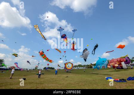 (190302) -- JOHOR BAHRU, 2 marzo 2019 -- vari aquiloni volano in cielo durante il 24° Pasir Gudang World Kite Festival a Pasir Gudang, stato di Johor, Malesia, 1 marzo 2019. Partecipanti provenienti da oltre 40 paesi e regioni hanno partecipato alle competizioni di aquiloni e allo spettacolo durante il festival di cinque giorni. ) MALESIA-PASIR GUDANG-KITE FESTIVAL ChongxVoonxChung PUBLICATIONxNOTxINxCHN Foto Stock