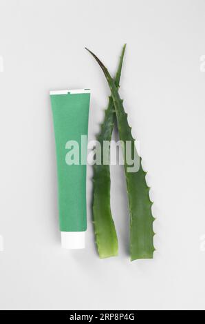 Tubo di dentifricio e aloe fresca su sfondo bianco, vista dall'alto Foto Stock