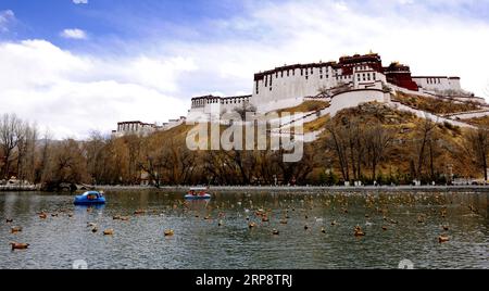 (190315) -- LHASA, 15 marzo 2019 (Xinhua) -- i visitatori prendono barche ai piedi del Potala Palace nel Longwangtan Park a Lhasa, capitale della regione autonoma del Tibet della Cina sud-occidentale, 14 marzo 2019. (Xinhua/Zhang Rufeng) CHINA-TIBET-LHASA-EARLY SPRING (CN) PUBLICATIONxNOTxINxCHN Foto Stock