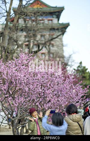 (190316) -- PECHINO, 16 marzo 2019 (Xinhua) -- la gente scatta foto di fiori fioriti al Beijing Ming Dynasty (1368-1644) City Wall Relics Park a Pechino, capitale della Cina, 16 marzo 2019. (Xinhua/li Xin) CHINA-BEIJING-SPRING-SCENOGRAFIA (CN) PUBLICATIONxNOTxINxCHN Foto Stock