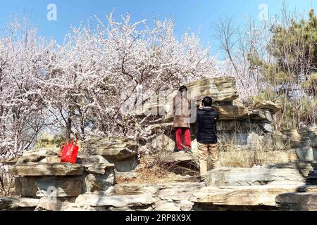 (190317) -- PECHINO, 17 marzo 2019 -- la foto scattata con un cellulare mostra i turisti che scattano foto al Palazzo d'Estate di Pechino, capitale della Cina, 17 marzo 2019. ) (BeijingCandid)CHINA-BEIJING-SPRING-PARKS ZhangxHaofu PUBLICATIONxNOTxINxCHN Foto Stock