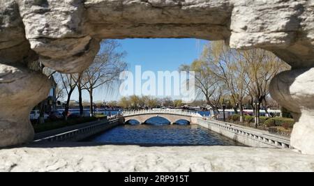 (190320) -- PECHINO, 20 marzo 2019 (Xinhua) -- la foto scattata con un cellulare mostra il paesaggio primaverile nella zona di Shichahai a Pechino, capitale della Cina, 12 marzo 2019. (Xinhua/Ju Huanzong) (Beijingcandid)CINA-PECHINO-PRIMAVERA (CN) PUBLICATIONxNOTxINxCHN Foto Stock