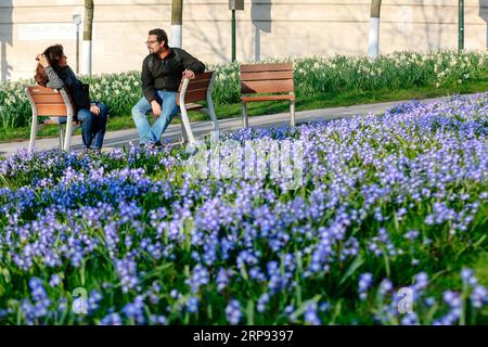 (190322) -- BRUXELLES, 22 marzo 2019 (Xinhua) -- la gente si gode il sole tra i fiori fioriti di fronte a St. Michael e St. Cattedrale di Gudula a Bruxelles, Belgio, 21 marzo 2019. (Xinhua/Zhang Cheng) BELGIO-BRUXELLES-FIORI-PRIMAVERA PUBLICATIONxNOTxINxCHN Foto Stock