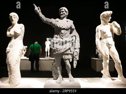 (190324) -- DALLAS, 24 marzo 2019 (Xinhua) -- Un visitatore guarda le opere realizzate con mattoni LEGO dall'artista Nathan Sawaya durante la mostra The Art of the Brick a Dallas, Texas, Stati Uniti, il 23 marzo 2019. (Xinhua/Dan Tian) U.S.-DALLAS-ART-EXHIBITION-LEGO PUBLICATIONxNOTxINxCHN Foto Stock