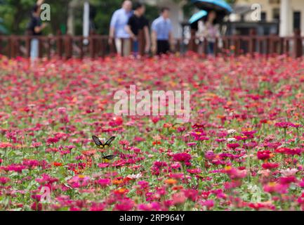 (190326) -- BOAO, 26 marzo 2019 (Xinhua) -- le persone visitano un giardino del villaggio di Nanqiang, la città di Boao, la città di Qionghai nella provincia di Hainan della Cina meridionale, 25 marzo 2019. La città di Qionghai ha accelerato i suoi passi verso la costruzione di bellissimi villaggi, applicando piani diversi a seconda delle condizioni locali. Finora ha sviluppato 2.343 villaggi civili ed ecologici, che rappresentano il 88,6% dei villaggi naturali della città. (Xinhua/Hou Dongtao) CHINA-BOAO-VILLAGE-SPRING SCENOGRAFIA (CN) PUBLICATIONxNOTxINxCHN Foto Stock