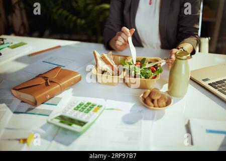 Ambiente di lavoro sostenibile. Primo piano su una scrittrice in un ufficio verde con un laptop che mangia insalata. Foto Stock