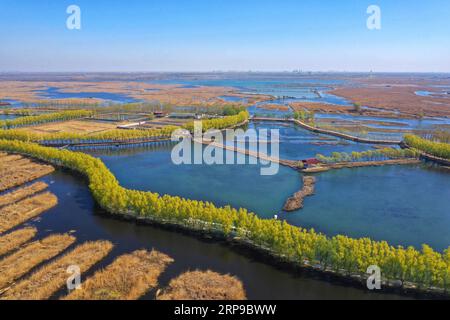 (190402) -- PECHINO, 2 aprile 2019 -- foto aerea scattata il 31 marzo 2019 mostra il lago Baiyangdian a Xiong An New area, nella provincia di Hebei nel nord della Cina. ) XINHUA FOTO DEL GIORNO MuxYu PUBLICATIONxNOTxINxCHN Foto Stock