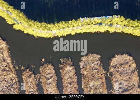 (190402) -- XIONG AN, 2 aprile 2019 (Xinhua) -- foto aerea scattata il 31 marzo 2019 mostra il lago Baiyangdian nella nuova area di Xiongan, nella provincia di Hebei nella Cina settentrionale. Il 1 aprile 2017, la Cina annunciò i piani per la creazione della nuova area di Xiongan, a circa 100 km a sud-ovest di Pechino. Conosciuta come la città del futuro della Cina, Xiongan è stata progettata per diventare una zona di innovazione, una città digitale sincronizzata con quella mattonella e un'area vivibile e adatta agli affari. (Xinhua/Zhu Xudong) CHINA-XIONGAN NEW AREA-ANNIVERSARY-AERIAL VIEW (CN) PUBLICATIONxNOTxINxCHN Foto Stock