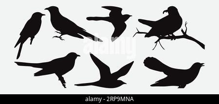 Elegance in Motion, squisita silhouette Cuckoo Bird Set - illustrazioni vettoriali Illustrazione Vettoriale