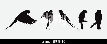 Maestose silhouette Macaw, Un'accattivante collezione di ombre esotiche per uccelli per i tuoi progetti di design Illustrazione Vettoriale