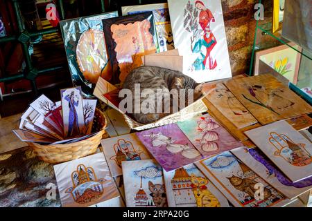 Fai shopping nel cortile della piccola moschea di Santa Sofia. Ex chiesa greco-ortodossa. Istanbul, Turchia Foto Stock