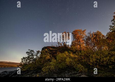 Panorama del cielo con il fenomeno delle stelle del cielo notturno in Lapponia scandinavia. Foto Stock