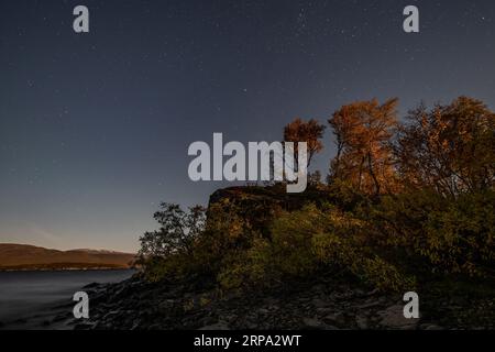 Panorama del cielo con il fenomeno delle stelle del cielo notturno in Lapponia scandinavia. Foto Stock