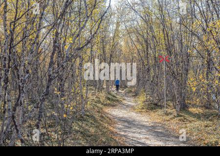 Soleggiata vista autunnale del sentiero escursionistico di Kungsleden nel Parco Nazionale di Abisko, comune di Kiruna, Lapponia, Svezia. Foto Stock