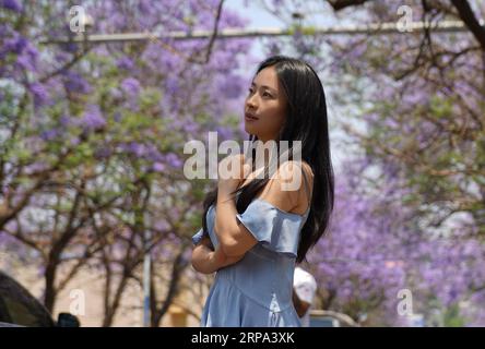 (190424) -- KUNMING, 24 aprile 2019 (Xinhua) -- Una ragazza posa per una foto sotto gli alberi di Jacaranda a Kunming, nella provincia dello Yunnan della Cina sud-occidentale, 24 aprile 2019. Jacaranda è entrata nella stagione dei fiori di recente. (Xinhua/Qin Qing) CHINA-YUNNAN-JACARANDA-BLOSSOMS (CN) PUBLICATIONxNOTxINxCHN Foto Stock