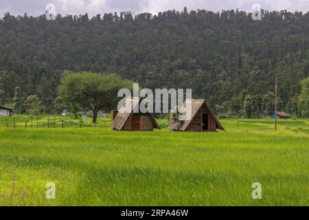 Splendida vista di due capanne nel campo agricolo Rise. Splendido ambiente verde con casa tradizionale in un piccolo villaggio. Foto Stock