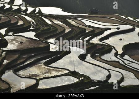 (190502) -- QIANDONGNAN, 2 maggio 2019 (Xinhua) -- foto scattata il 1° maggio 2019 mostra campi terrazzati nella città di Jiabang della contea di Congjiang, nella provincia di Guizhou nella Cina sud-occidentale. (Xinhua/Luo Jinglai) CHINA-GUIZHOU-TERRACED FIELDS (CN) PUBLICATIONxNOTxINxCHN Foto Stock