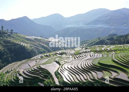 (190502) -- QIANDONGNAN, 2 maggio 2019 (Xinhua) -- foto scattata il 1° maggio 2019 mostra campi terrazzati nella città di Jiabang della contea di Congjiang, nella provincia di Guizhou nella Cina sud-occidentale. (Xinhua/Luo Jinglai) CHINA-GUIZHOU-TERRACED FIELDS (CN) PUBLICATIONxNOTxINxCHN Foto Stock