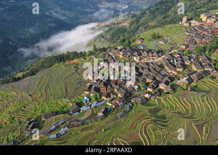 (190502) -- QIANDONGNAN, 2 maggio 2019 (Xinhua) -- foto scattata il 1° maggio 2019 mostra campi terrazzati nella città di Jiabang della contea di Congjiang, nella provincia di Guizhou nella Cina sud-occidentale. (Xinhua/Luo Jinglai) CHINA-GUIZHOU-TERRACED FIELDS (CN) PUBLICATIONxNOTxINxCHN Foto Stock