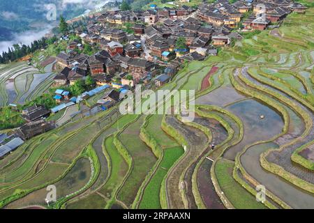 (190502) -- QIANDONGNAN, 2 maggio 2019 (Xinhua) -- foto scattata il 1° maggio 2019 mostra campi terrazzati nella città di Jiabang della contea di Congjiang, nella provincia di Guizhou nella Cina sud-occidentale. (Xinhua/Luo Jinglai) CHINA-GUIZHOU-TERRACED FIELDS (CN) PUBLICATIONxNOTxINxCHN Foto Stock