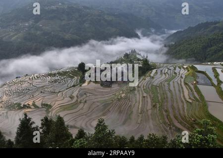 (190502) -- QIANDONGNAN, 2 maggio 2019 (Xinhua) -- foto scattata il 1° maggio 2019 mostra campi terrazzati nella città di Jiabang della contea di Congjiang, nella provincia di Guizhou nella Cina sud-occidentale. (Xinhua/Luo Jinglai) CHINA-GUIZHOU-TERRACED FIELDS (CN) PUBLICATIONxNOTxINxCHN Foto Stock