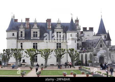 (190502) -- PARIGI, 2 maggio 2019 (Xinhua) -- foto scattata il 1 maggio 2019 mostra il Castello di Amboise, dove si trova la tomba di Leonardo da Vinci ad Amboise, in Francia. Giovedì ricorre il 500° anniversario della morte del maestro rinascimentale Leonardo da Vinci. Il famoso pittore, scultore, scrittore, inventore, scienziato e matematico trascorse i suoi ultimi tre anni ad Amboise come ospite del re francese Francesco I.. (Xinhua/Gao Jing) FRANCIA-AMBOISE-LEONARDO da VINCI-DEATH-ANNIVERSARY PUBLICATIONxNOTxINxCHN Foto Stock