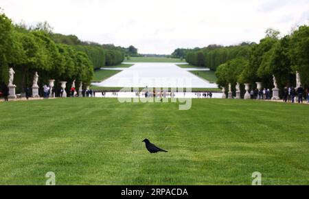 (190503) -- PARIGI, 3 maggio 2019 (Xinhua) -- la foto scattata il 25 aprile 2019 mostra la vista al Castello di Versailles nei sobborghi di Parigi, in Francia. (Xinhua/Gao Jing) FRANCIA-PARIGI-CHATEAU DE VERSAILLES-GARDEN PUBLICATIONxNOTxINxCHN Foto Stock