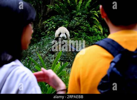 (190506) -- TAIPEI, 6 maggio 2019 (Xinhua) -- i turisti vedono il panda gigante allo zoo di Taipei a Taipei, Taiwan, 6 maggio 2019. Allo zoo di Taipei, i due panda giganti Tuantuan (maschio) e Yuanyuan (femmina) hanno attirato una grande folla desiderosa di dare un'occhiata agli orsi pazzi negli ultimi dieci anni. I due panda giganti furono inviati a Taiwan dalla Cina continentale alla fine del 2008. Nel 2013, Tuantuan e Yuanyuan ebbero un bambino chiamato Yuanzai. (Xinhua/Zhang Guojun) CINA-TAIPEI-PANDA GIGANTE-TURISMO (CN) PUBLICATIONxNOTxINxCHN Foto Stock