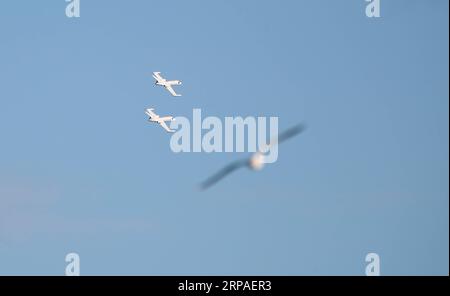 (190507) -- SYDNEY, 7 maggio 2019 -- gli aerei si esibiscono durante il Wings Over Illawarra Airshow all'aeroporto di Illawarra, a circa 100 km a sud di Sydney, in Australia, il 5 maggio 2019. Piloti acrobatici che sfidano la morte, tecnologia aeronautica all'avanguardia e una serie di classici caccia della seconda guerra mondiale sono solo alcune delle cose in mostra in uno dei più grandi spettacoli aerei dell'Australia. PER ANDARE CON caratteristiche: Acrobazie, jet militari, uccelli da guerra classici vanno in mostra all'Aussie AIRSHOW ) AUSTRALIA-SYDNEY-AIRSHOW BaixXuefei PUBLICATIONxNOTxINxCHN Foto Stock