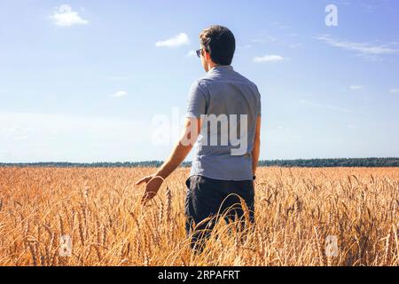 Uomo agronomo contadino in campo di grano dorato. Il maschio tiene orecchie di grano in mano. l'agricoltore maschio controlla la maturazione delle orecchie di grano. Foto Stock