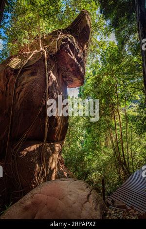 Il bellissimo paesaggio della grotta Nakee, al Parco Nazionale di Phu Langka, nel distretto di Ban Phaeng nella provincia di Nakhon Phanom, Thailandia Foto Stock